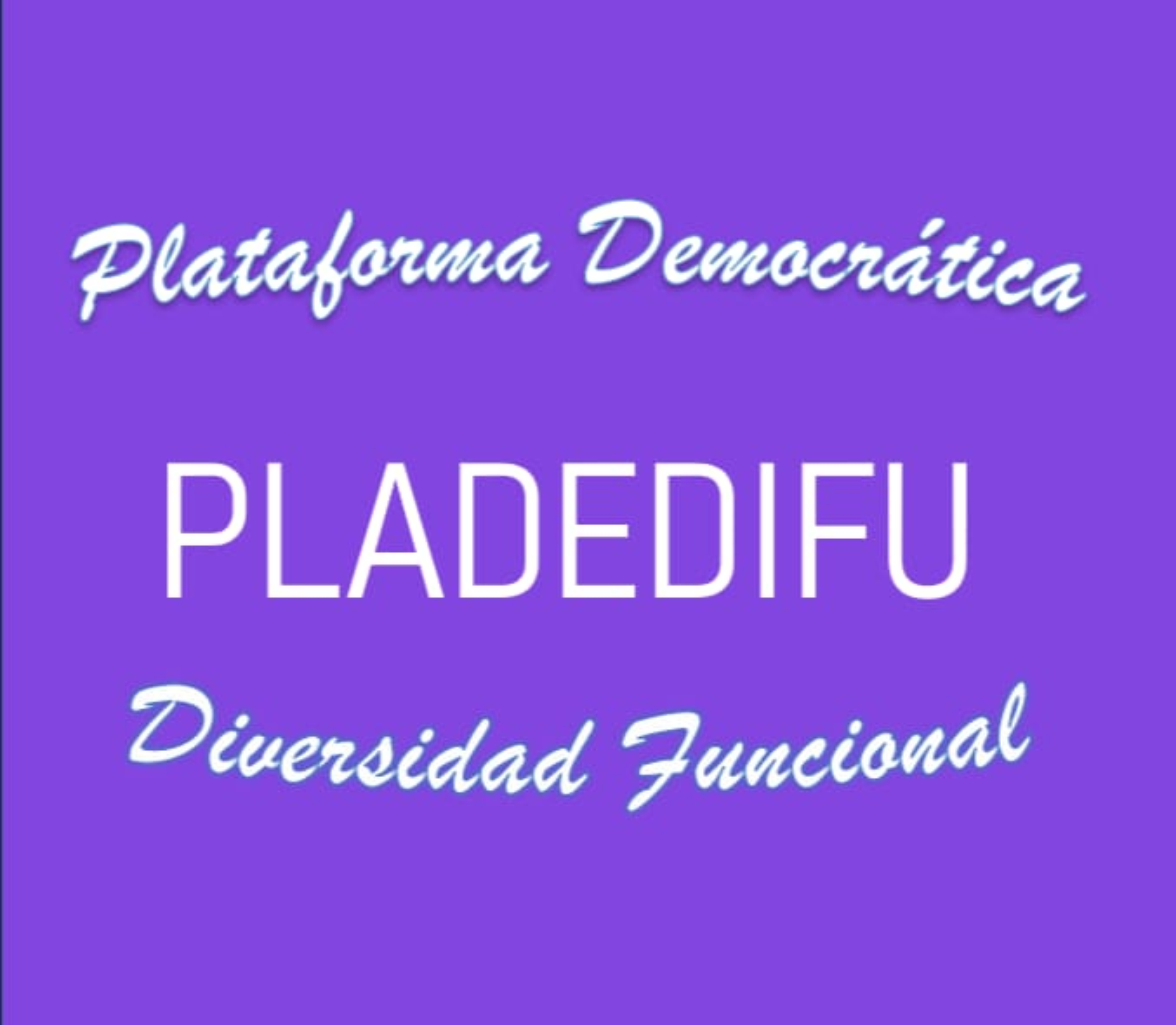foto: Plataforma Democrática para la Discapaidad Funcional
